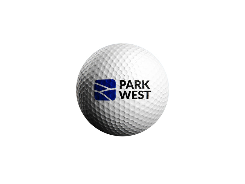 WILSON GOLF BALL: PER DOZEN